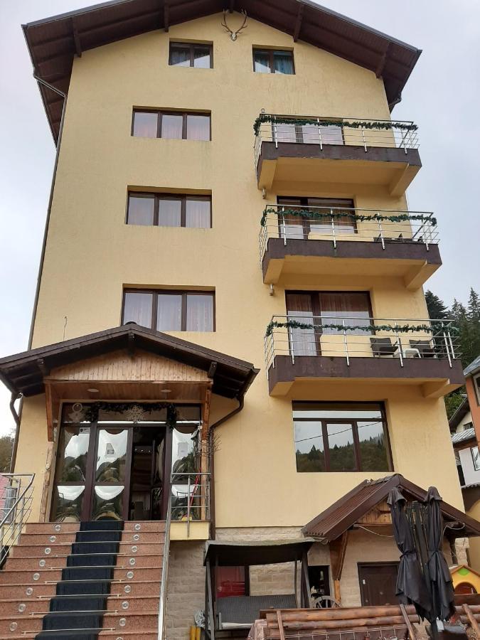 Vila Dolly Hotel Busteni Exterior photo