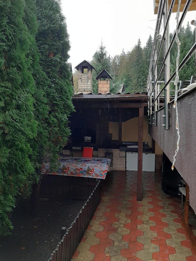 Vila Dolly Hotel Busteni Exterior photo